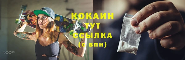 стаф Алзамай