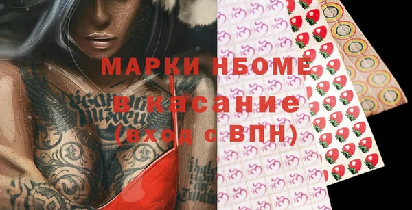 стаф Алзамай
