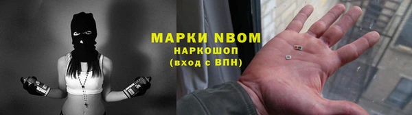 стаф Алзамай