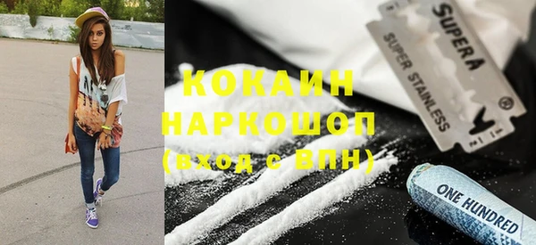 стаф Алзамай