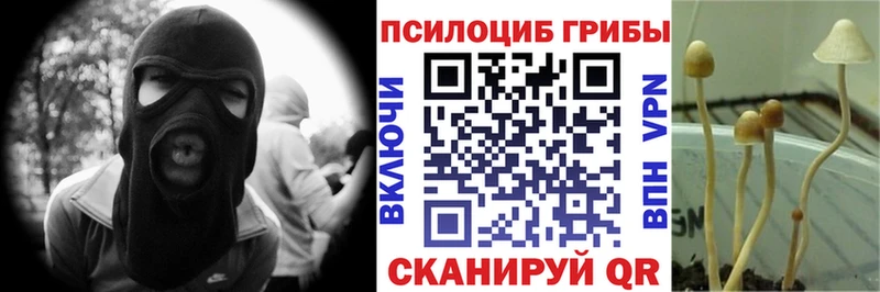 Галлюциногенные грибы Magic Shrooms  Мамадыш 